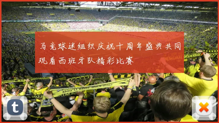 马竞球迷组织庆祝十周年盛典共同观看西班牙队精彩比赛