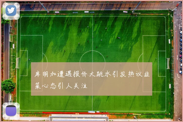 库明加遭遇报价大跳水引发热议韭菜心态引人关注