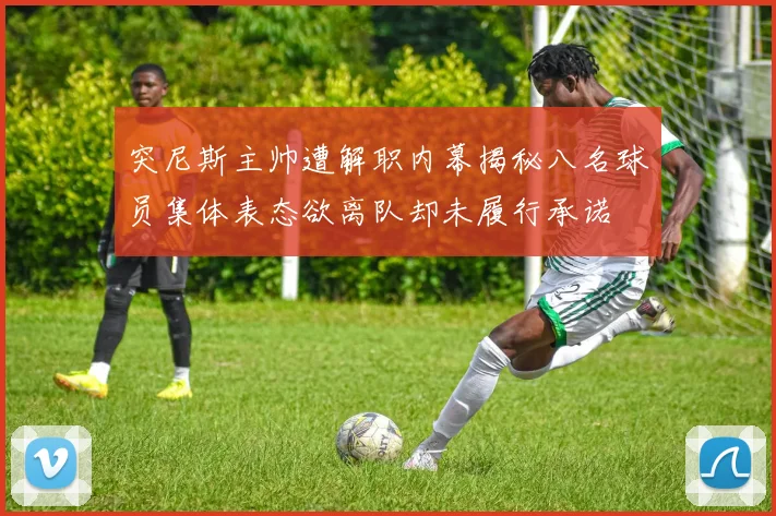突尼斯主帅遭解职内幕揭秘八名球员集体表态欲离队却未履行承诺